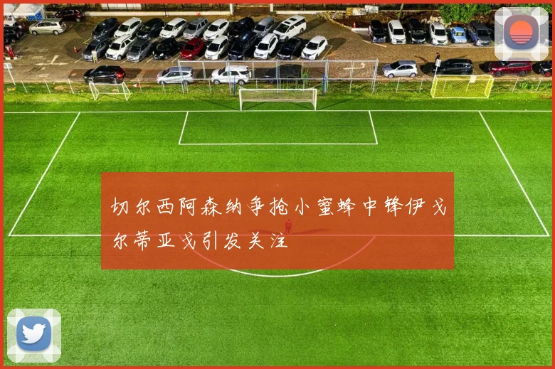切尔西阿森纳争抢小蜜蜂中锋伊戈尔蒂亚戈引发关注